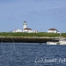 lighthouse_island_seal_machias_h_2300_can1006.jpg
